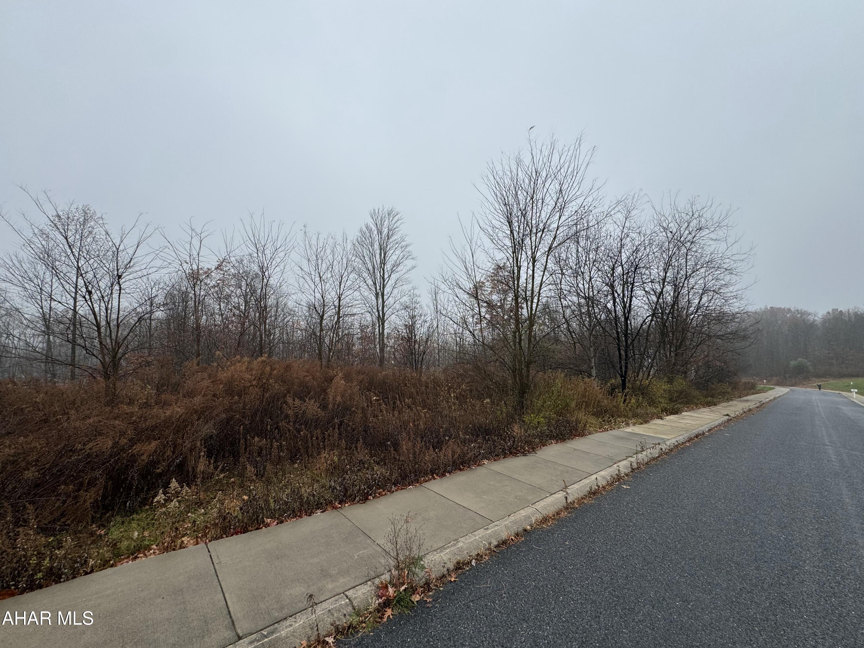 Brush Oaks Development - Land