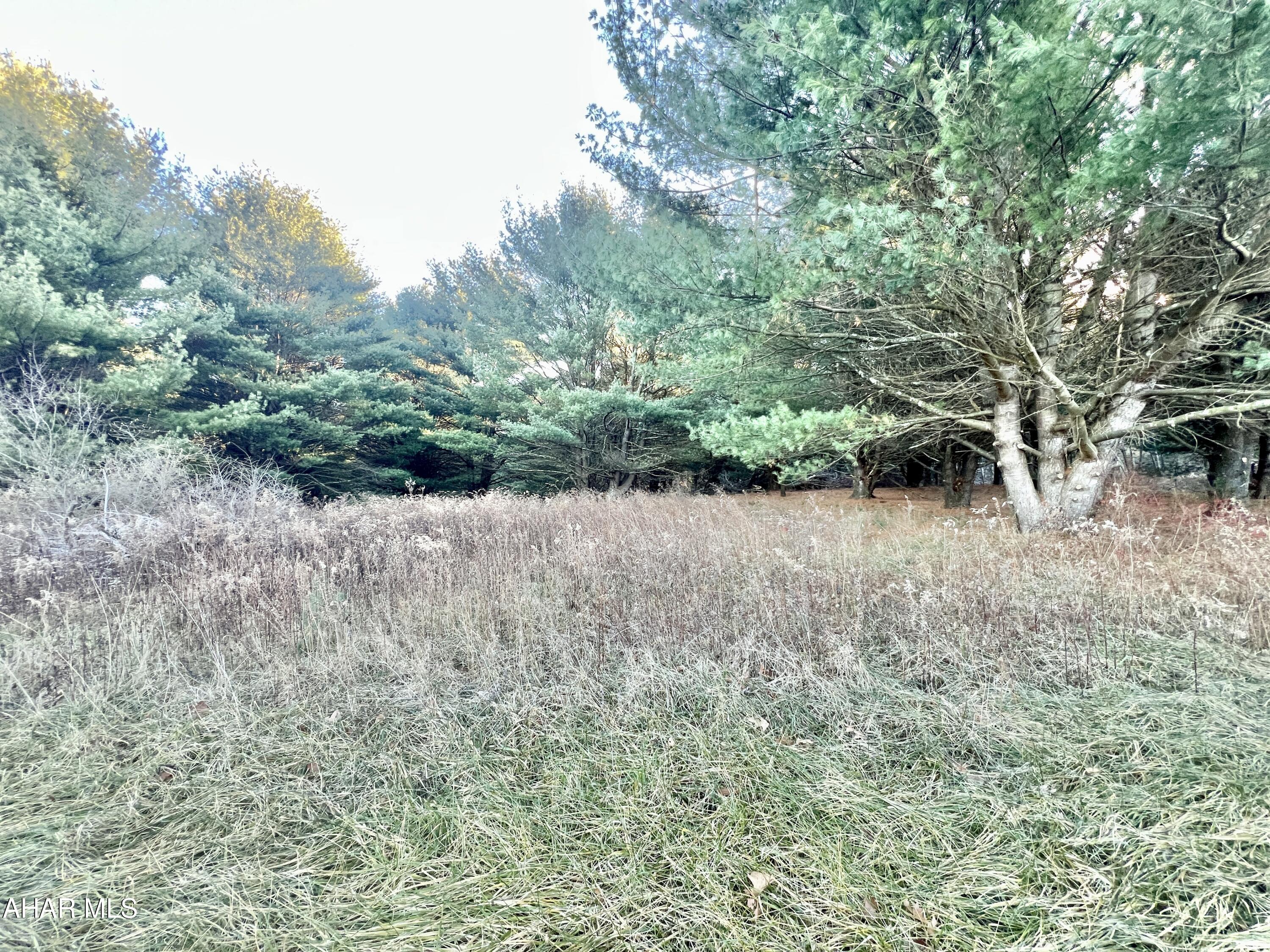 Nice wooded parcel of land consisting of 9.4+/- acres. Would make a great location to build a getaway or full time residence. Located just a few minutes from PA State Game Lands # 65. Property has not been perc tested.