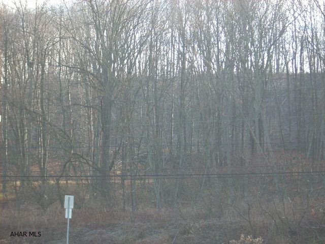 11 acres available in Tyrone. Public utilities available and are already brought to the lot line. Priced to sell at only $79,900.