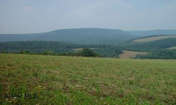 Beautiful Hunting/Building lot, wooded, seasonal stream.