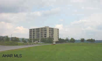 Large 4th floor condo with excellent view. 2 bedrooms, central air, wet bar, and all appliances. $250 association fee includes water, sewer, snow removal, ground floor parking, social room, trash removal, and more.