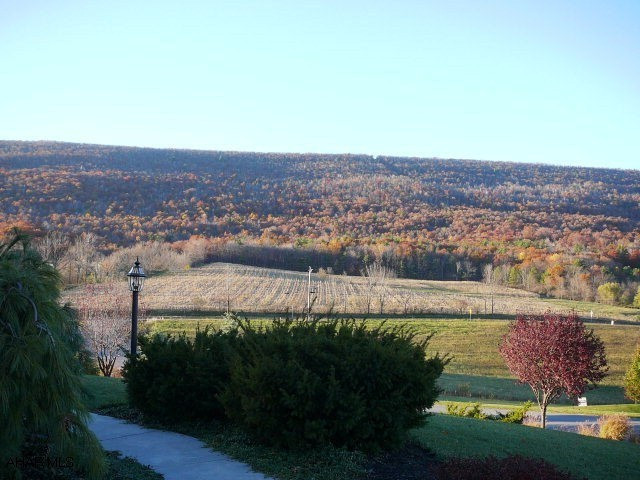 Countryside Estates - Land