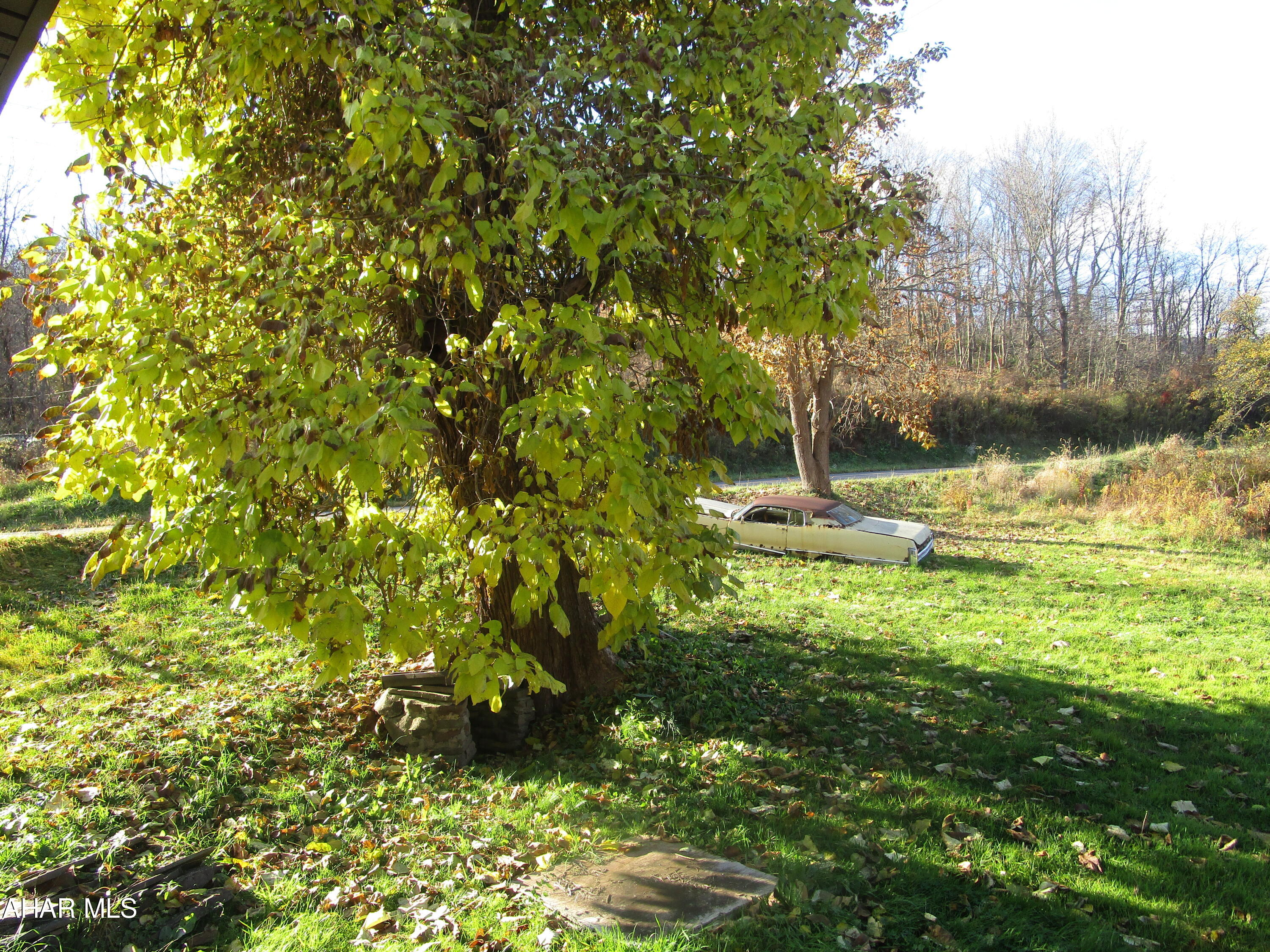 Other - Land