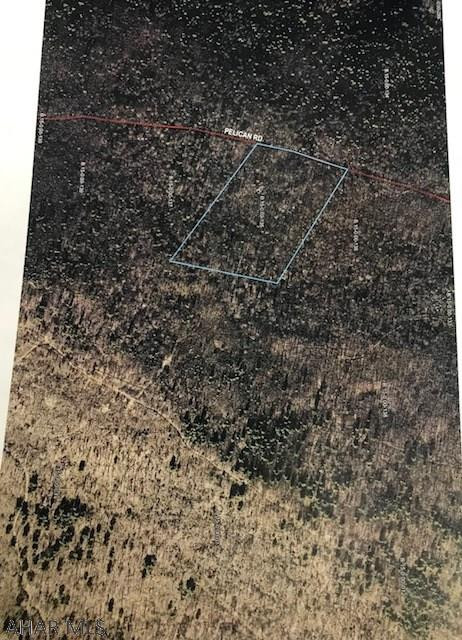 Great hunting property off Pelican Road, Hyndman, Pa!  Pelican Road is an unimproved road, is very rugged and a four wheeler is needed to see this property.