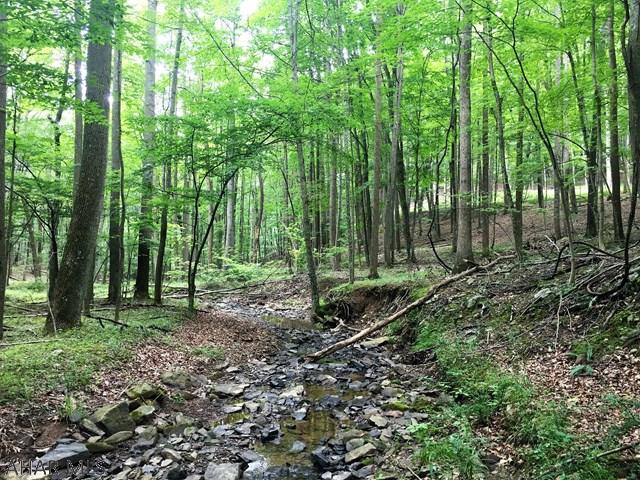 Nice lot within walking distance of State Game Lands. Small stream on property and level place to put a camp. Do not enter small shed on property.