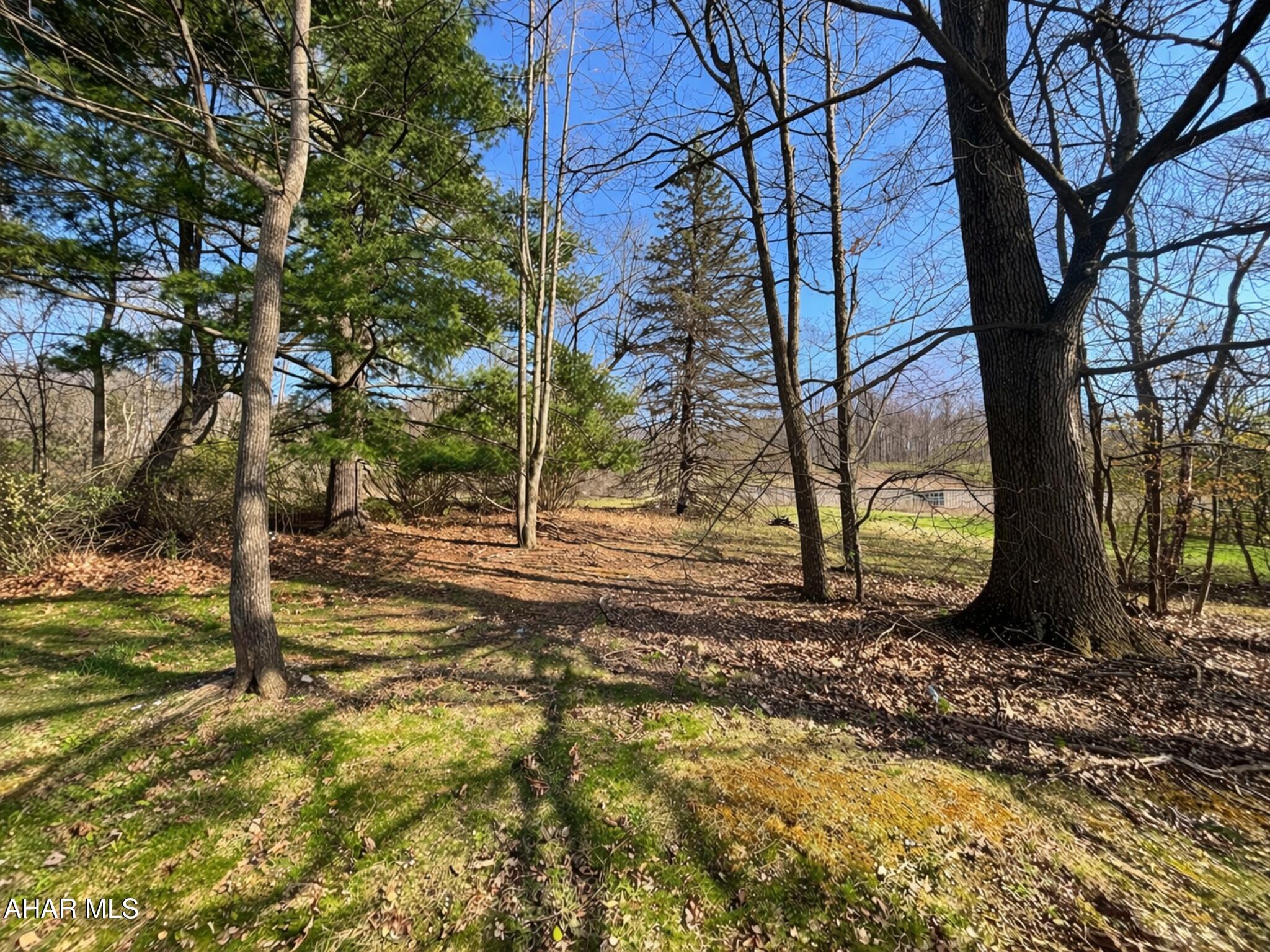 Pine Croft - Land