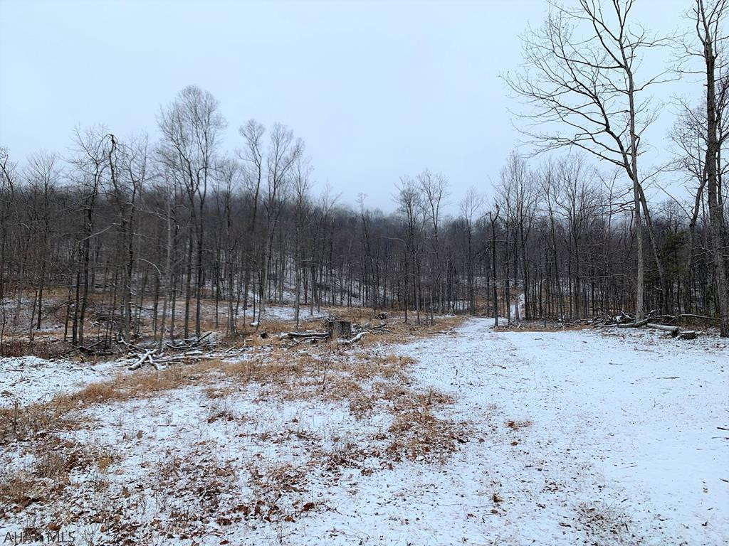 90 acres of wooded land that adjoins Buchanan State Forest!! Land has been percolation approved for a private sewer system. Building site for a year round home or a weekend get-away. Terrific property for recreational users. Spring on property. Good views of the surrounding countryside. Contingent upon subdivision approval.