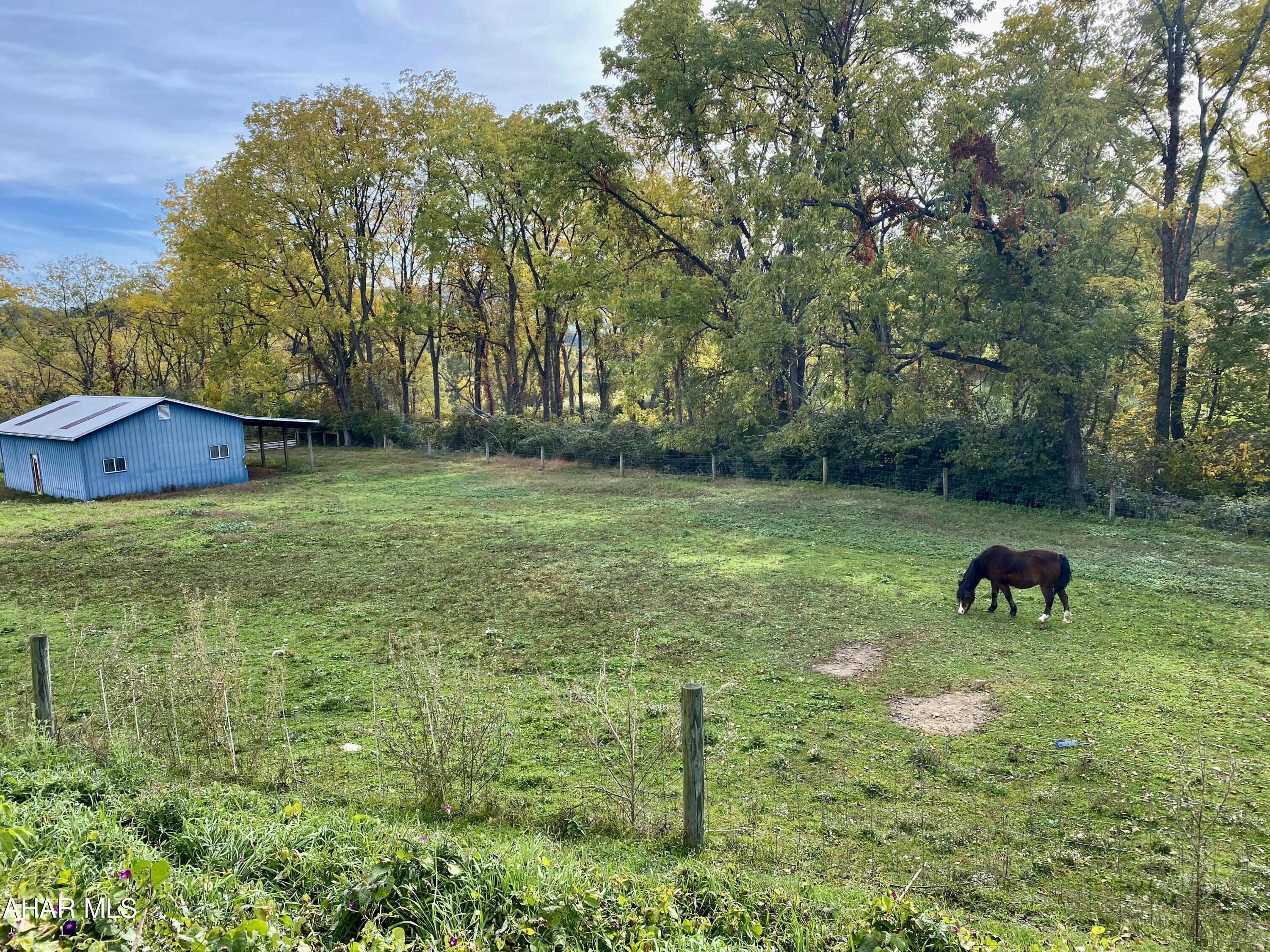 None - Farm
