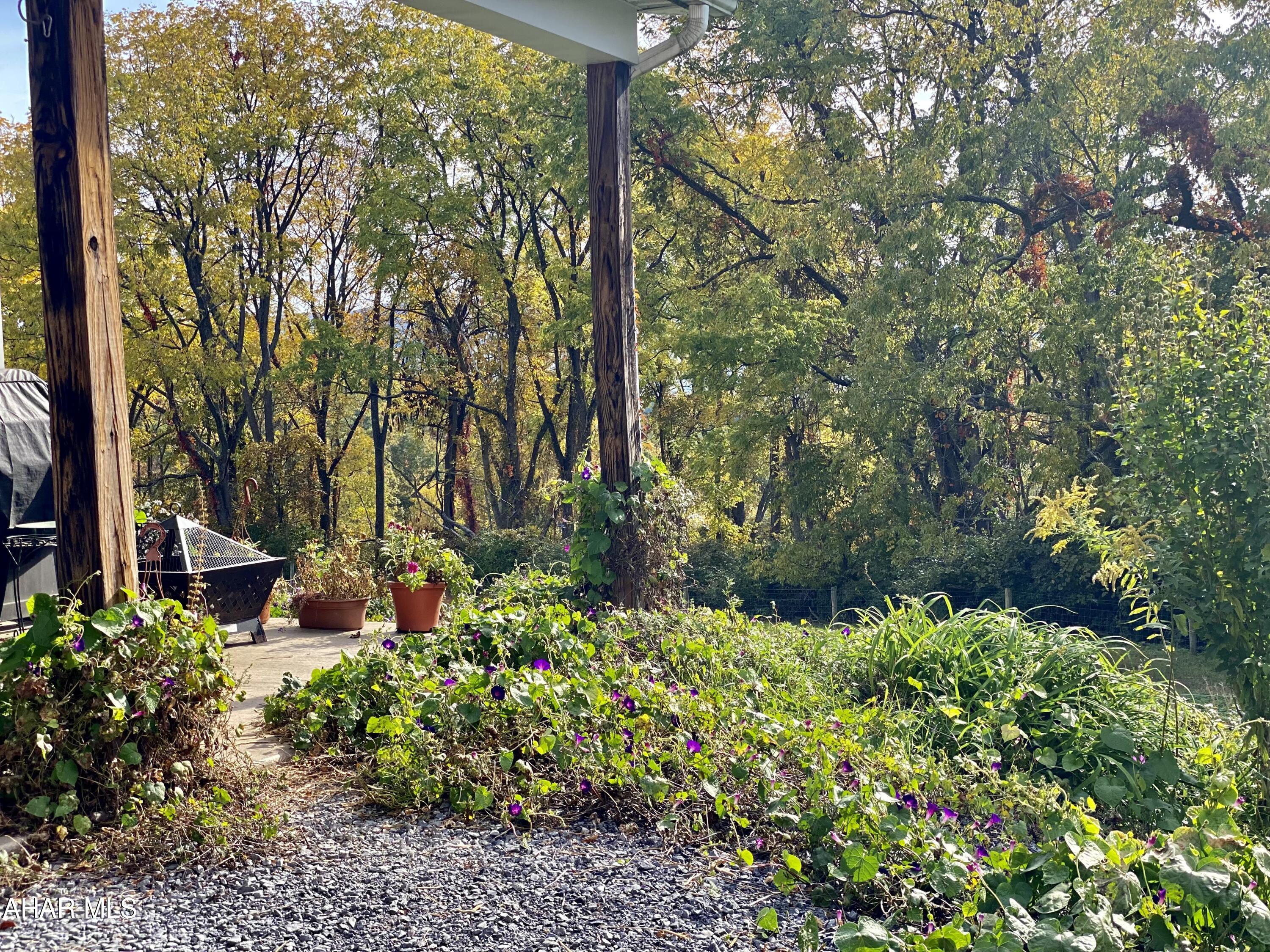 None - Farm