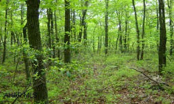 15 acres, mostly wooded, 5 miles from Huntingdon, perked, electric avail, surveyed, Rt 22 to 829 S, approx. 2.5 mi (top of Mt.), right on Smith Road, right on Corbin Rd, left on Sand Rock Road, rd is gated, lot on left side