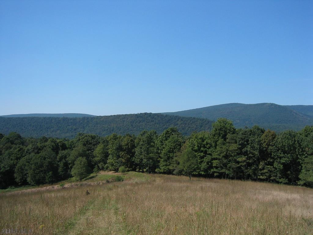 Beautiful Rolling Mountain Land!!  Hunter's Paradise or Your Dream Home!  This 124.16 acres features a sm. green cabin, with electric. The barn was built in to the bank lower level good for storage with a cement/dirt floor, the upper level has been partially renovated with a full kitchen, water, drywall walls, electric heat air handler, 200 amp electric service, and open FL plan with additional storage. The outbuilding/milk house cabin has 100 amp electric, bathroom and water. Mineral Rights convey! 75%-80% is wooded. and 20% fields. The property with its gorgeous views of the surrounding mountains offers breathtaking sunsets.  Cleared trails gives easy access roads with a pond situated near a potential building site and seasonal creek on the property. Approx. 15 acres across the road.
