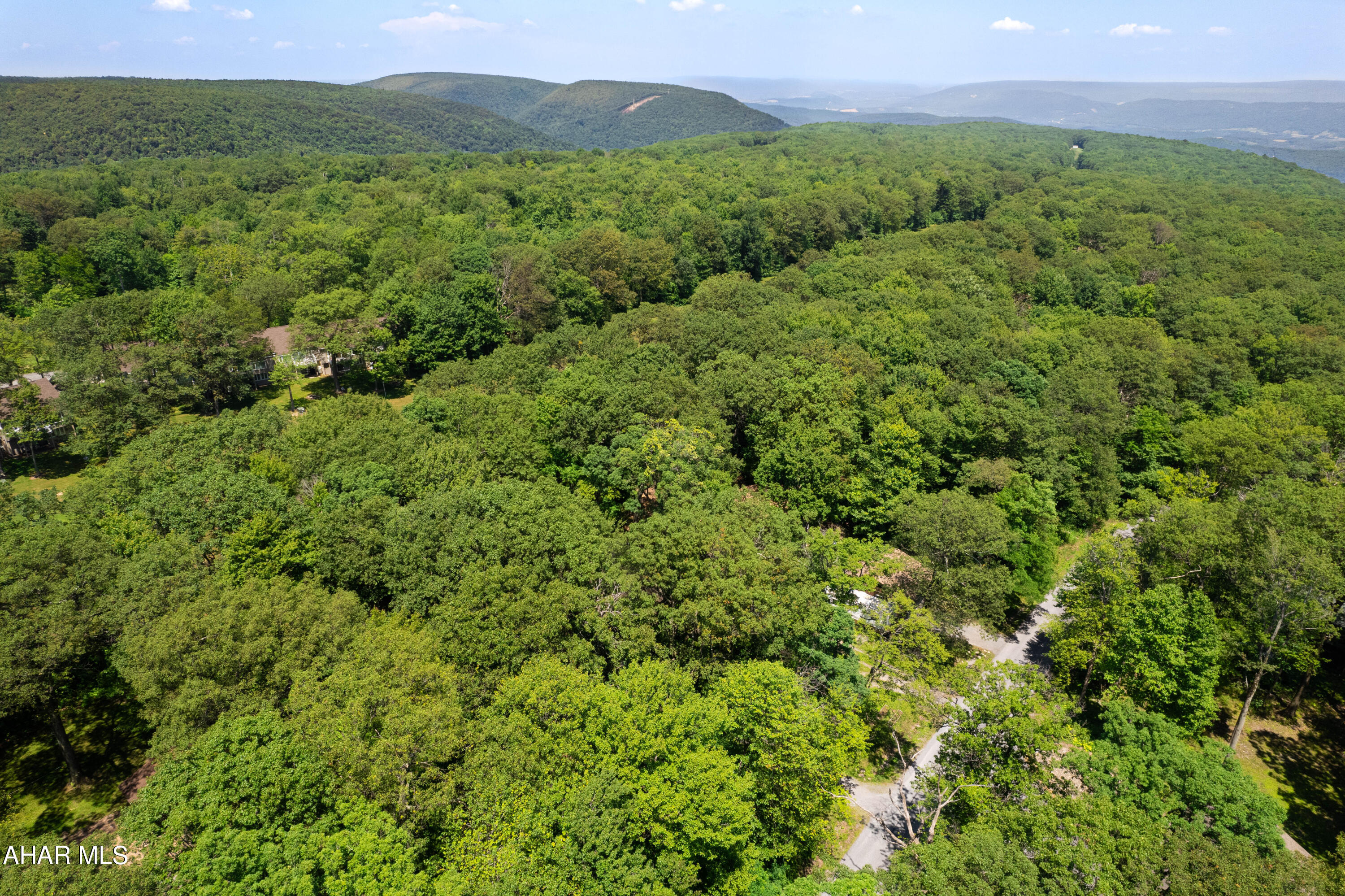 Blue Knob - Land