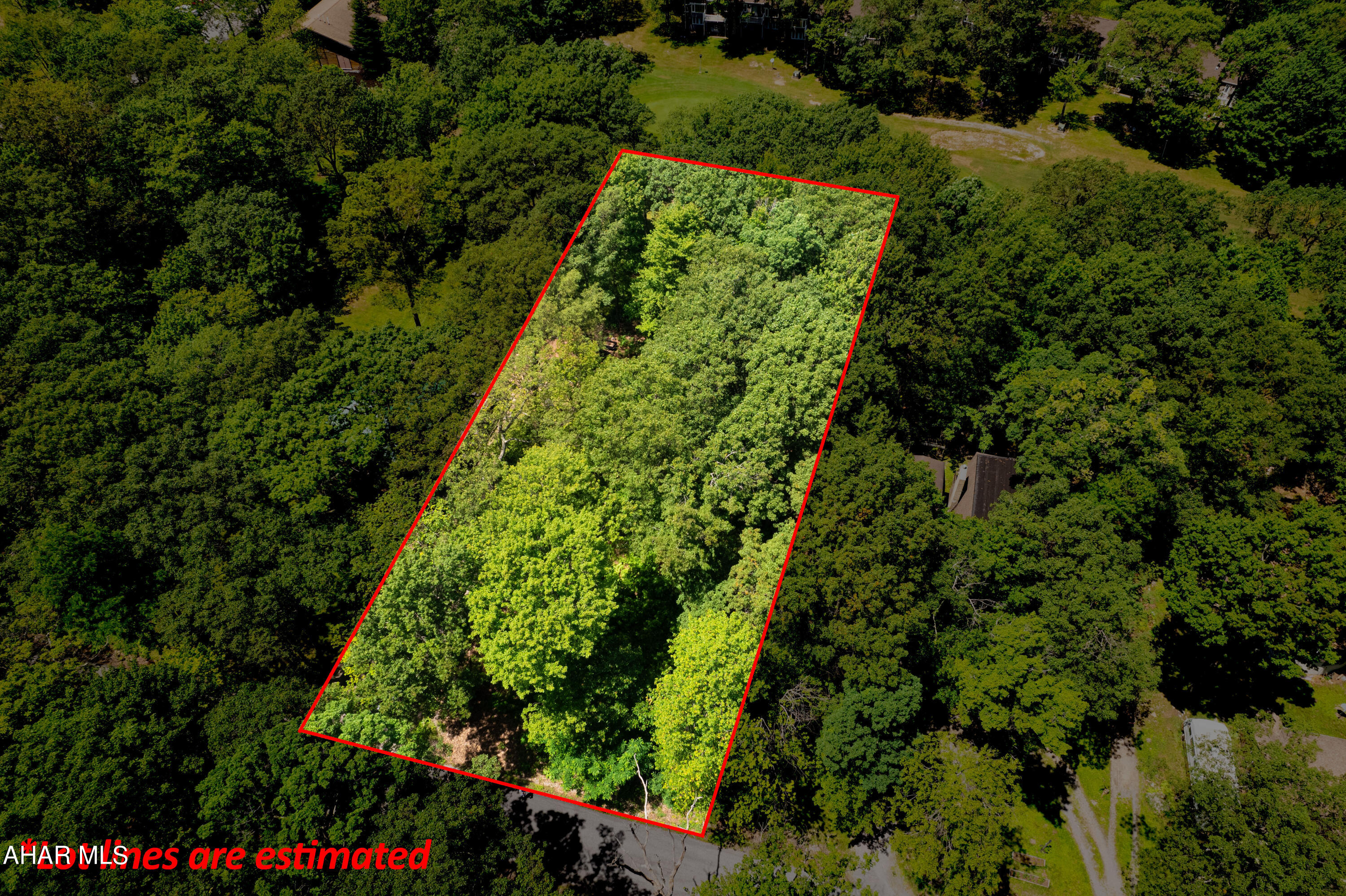 Nestled in the serene surroundings of Blue Knob, this prime vacant land offers an exceptional opportunity to build your dream home or vacation retreat. With the 9th hole of the golf course in your backyard, you can enjoy stunning views and easy access to leisurely rounds of golf & outdoor swimming pool. Just a short walk away, the Blue Knob Clubhouse Bar & Grill awaits, perfect for dining and socializing. Additionally, the property is only minutes from the renowned Blue Knob Ski Resort, making it an ideal location for year-round outdoor activities.

This lot is equipped with public water and sewer services, and electricity is readily available, ensuring a smooth building process. Homeowners Association (HOA) dues for unimproved land are a modest $125, offering great value for the amenities and upkeep of this beautiful community. For more information about the area, visit lotsatblueknobresort.com. Don't miss this rare opportunity to own a piece of paradise in Blue Knob!