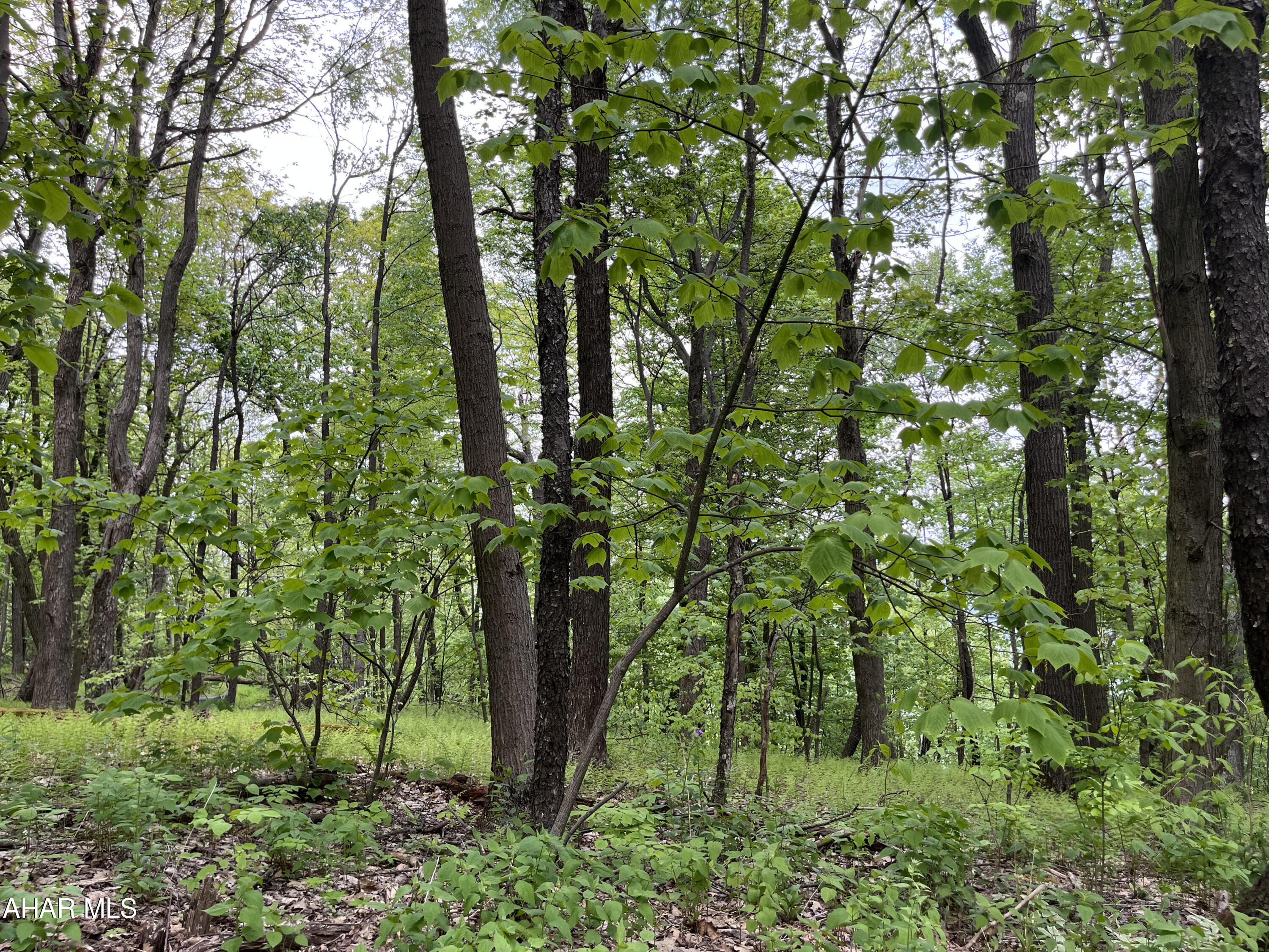 This is considered the Little Valley Area, which is more secluded and with tremendous views. The opportunity is here to own land at Blue Knob Resort.   Lots at Blue Knob Resort are in a 4 seasons Ski Resort community, which includes access to indoor/outdoor pool, hot tub, tennis courts, golf course, and all the blue knob state park hiking/biking trails and amenities.  The Blue Knob bar and grill as well as their conference center is the hub of entertainment. These beautiful lots overlook the golf course, while some overlook the valley and surrounding mountains.  No matter which views you desire, these lots are sure to provide. You would be close to three lakes, Historic Downtown Bedford and the upscale Omni Bedford Springs. Bob Creek located in blue knob park is known for the exceptional fishing and Blue Knob Park for their biking/hiking trails as well as their hunting. HOA $125.00 yearly undeveloped.  Water, sewer & electric available. This lot is part of 16.61 acres buyers to verify lot size. 
 Check out www.lotsatblueknobresort.com