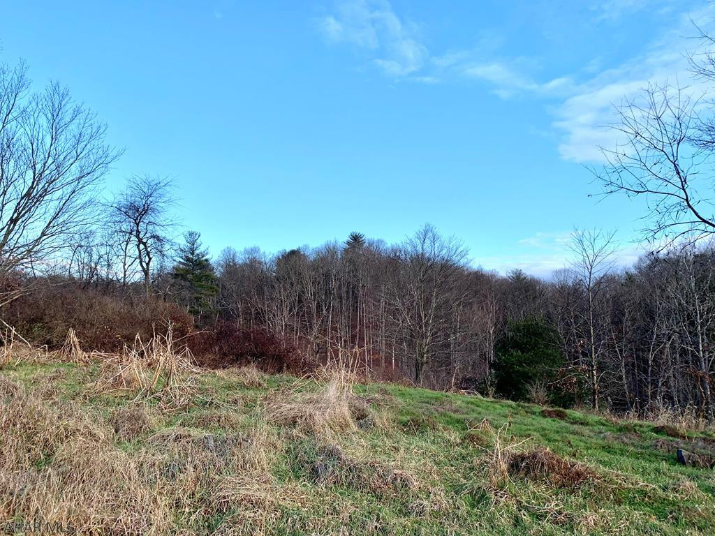 Other - Land