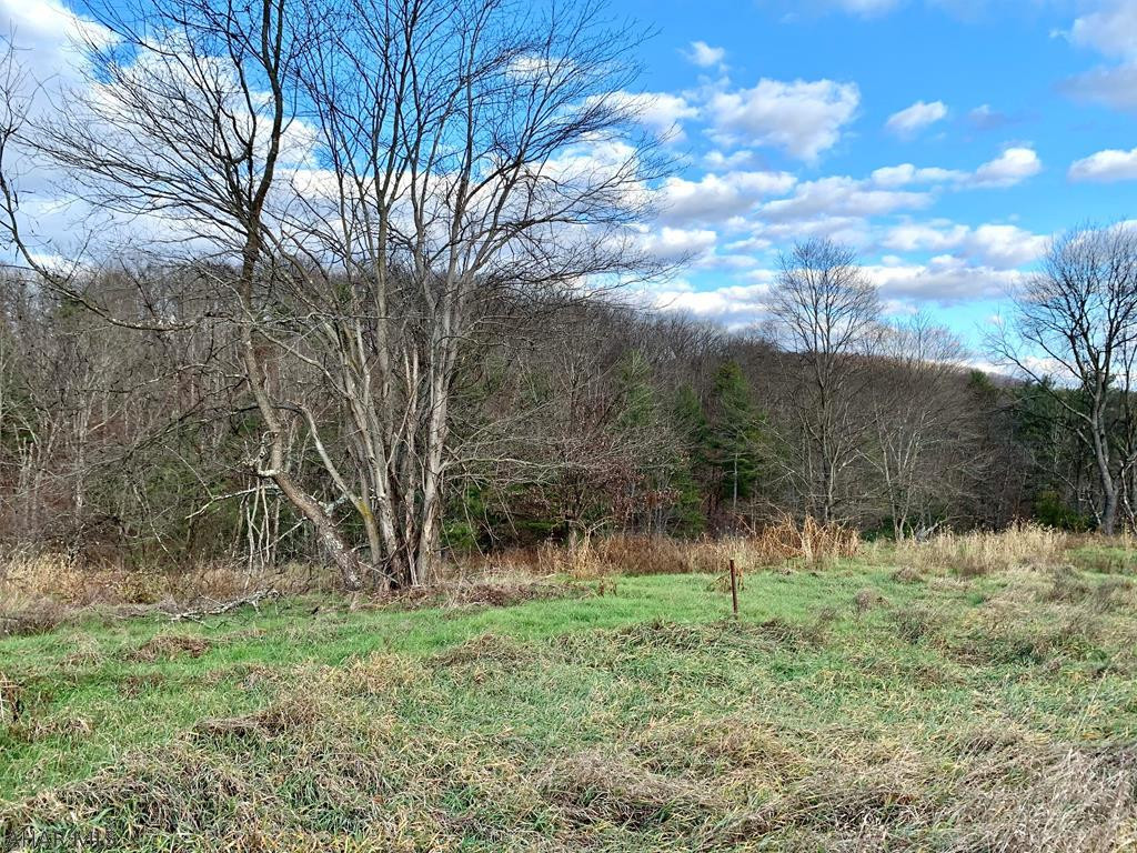 Looking for a medium size lot?  Here you will find a hunters paradise or your next building site.  This mostly wooded, hilly property of approximately 30.5 acres offers multiple tree stands, borders State Game Lands, easy access to I-70, enrolled in the clean and green and so much more.  This could be used as your hunting get-away or a place to build your permanent residence.  This property is part of Ravencliffe Subdivision and deed restrictions do apply.  Oil, gas and mineral rights are reserved. Property is in Clean and green. Acreage and taxes are approximate, buyer to verify.
