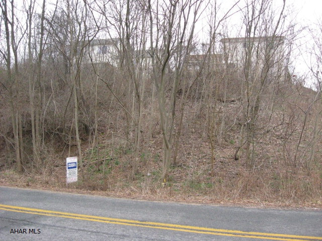 Nice wooded lot in O'Fiesh Development.
