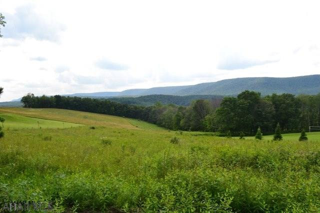 READY TO BUILD YOUR DREAM HOME!  Incredible mountain views from this 1.64 acre lot in Bedford County. Chestnut Ridge schools, septic approval with design, ready for install.