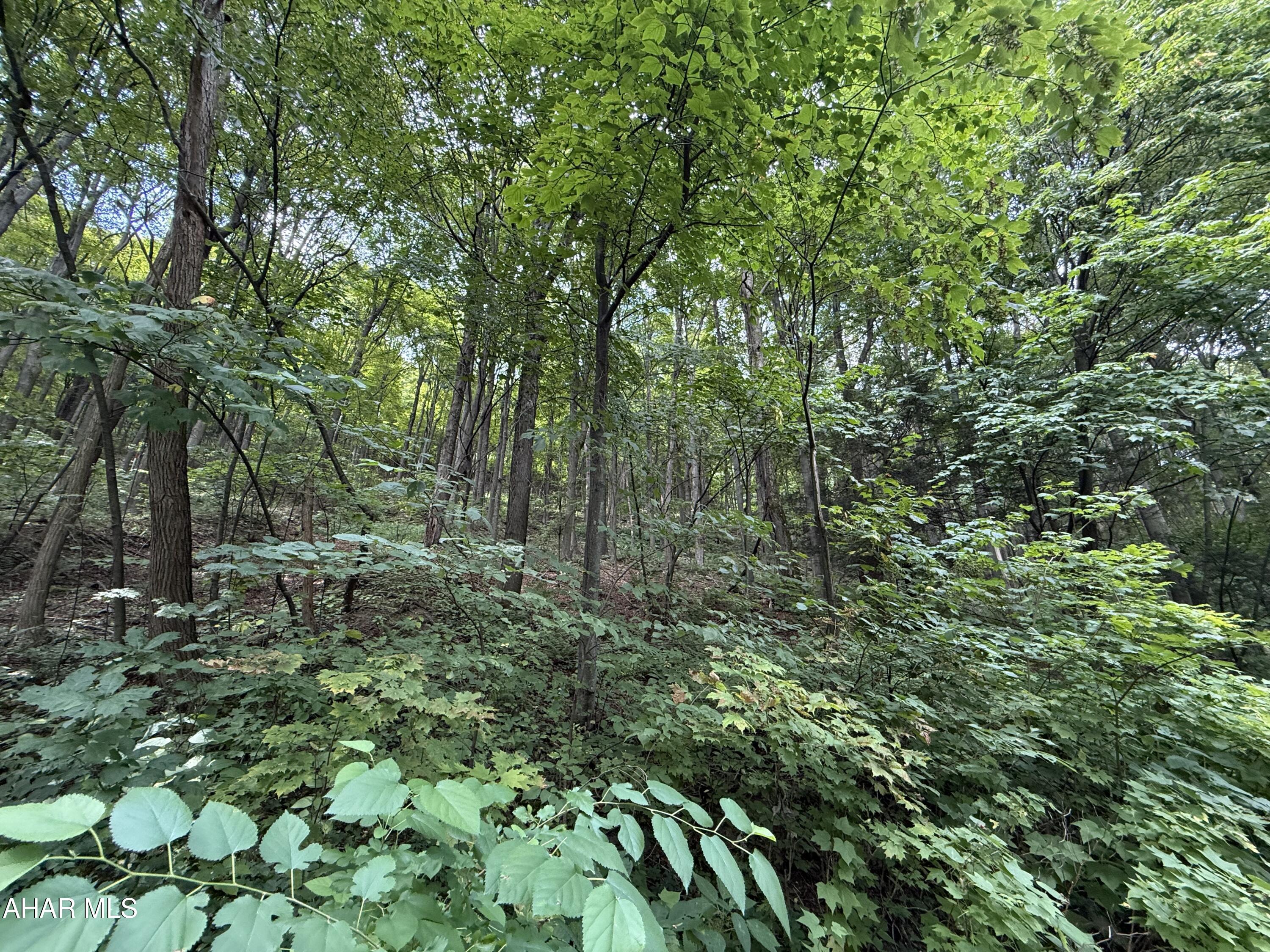 Great building lot at Blue Knob Resort.  Water, Sewer and Electric are available just pay tap fee.  
 
HOA 
Lot Owners - $125.00 a year      
Homeowners - $425.00 a year
 
SKA Membership Dues include:
Road maintenance
Snow plowing of the roads
Access to:
Dumpsters for trash
Outdoor pool
Tennis court
Biking and hiking trails
Clubhouse Bar and Grille (open ski and golf season)
Indoor pool, sauna and hot tubs for a reasonable fee.  
Golf Course for fees posted on blueknob.com
Snowshoeing
Downhill and Cross-Country Skiing for fees posted on www.blueknob.com
Fun, excitement, beauty, activities, wildlife, relaxation - PRICELESS!
