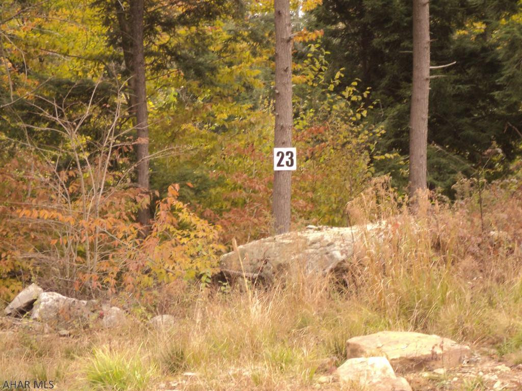 Bear Rock - Land