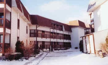 TASTEFULLY DECORATED 2 BR, 2 BATH CONDO. FP, BALCONY, BAR, OAK KITCHEN, DINING ROOM. ASSOC. DUES $175/MONTH INCLUDES ALL AMENITIES.