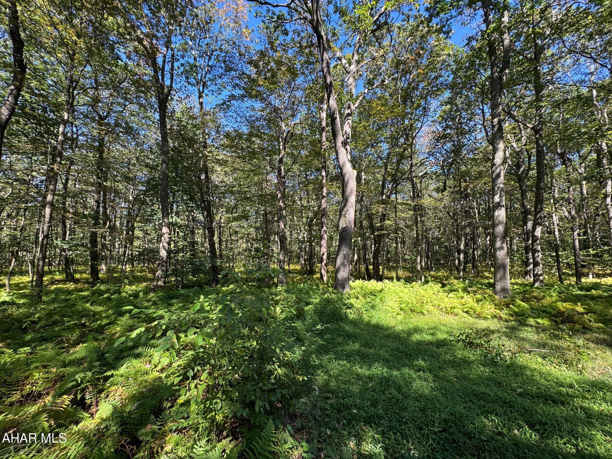 Other - Land