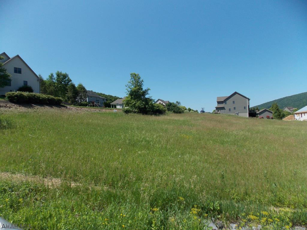 Beautiful lot in a beautiful Development, plan your dream home now!  Buyer needs to drill a well, sewer is public.  Lots 47 and 48 are right beside each other, buy both and you would have over and acre of ground.  Call for Deed Restrictions.  Priced below assessed value.