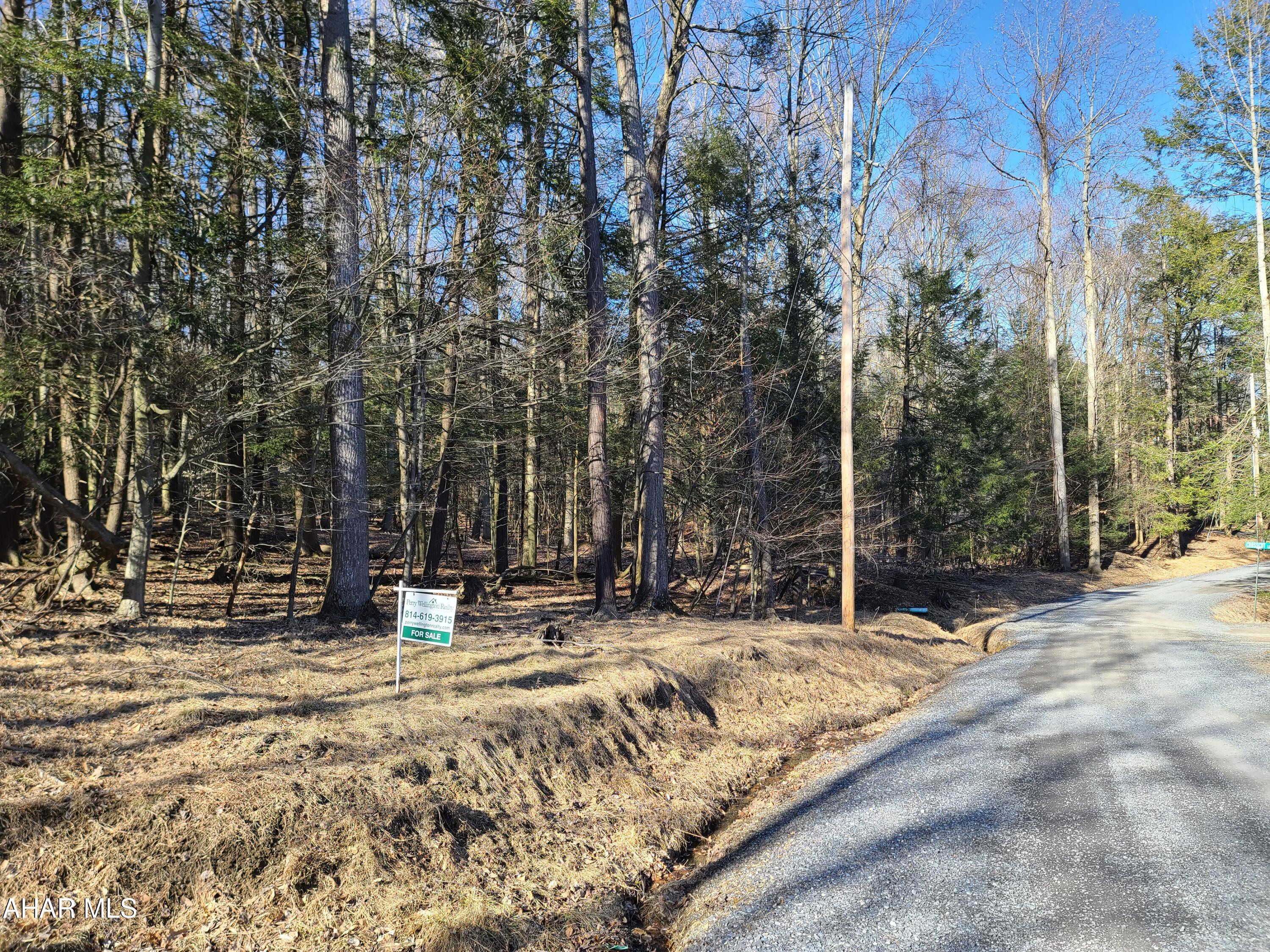 2 wooded lots inside Glendale Yearound.