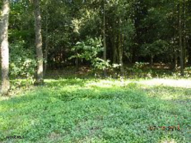 2 residential wooded lots in Glendale Yearound on Grand Trunk , one corner lot. Enjoy all the amenities of Glendale Yearound including a heated swimming pool. Adj. to State game lands & minutes from Rock Run