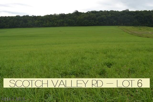 Scenic Scotch Valley!  This nearly 9 acre lot is in a beautiful setting with the gorgeous PA views surrounding it.  Nice wooded area behind, mountain view across. It would be a prime spot to build your new home, without neighbors right on top of you and plenty of yard to enjoy.    If interested, the opportunity exists to purchase the adjacent lot as well for a total of 18 acres.