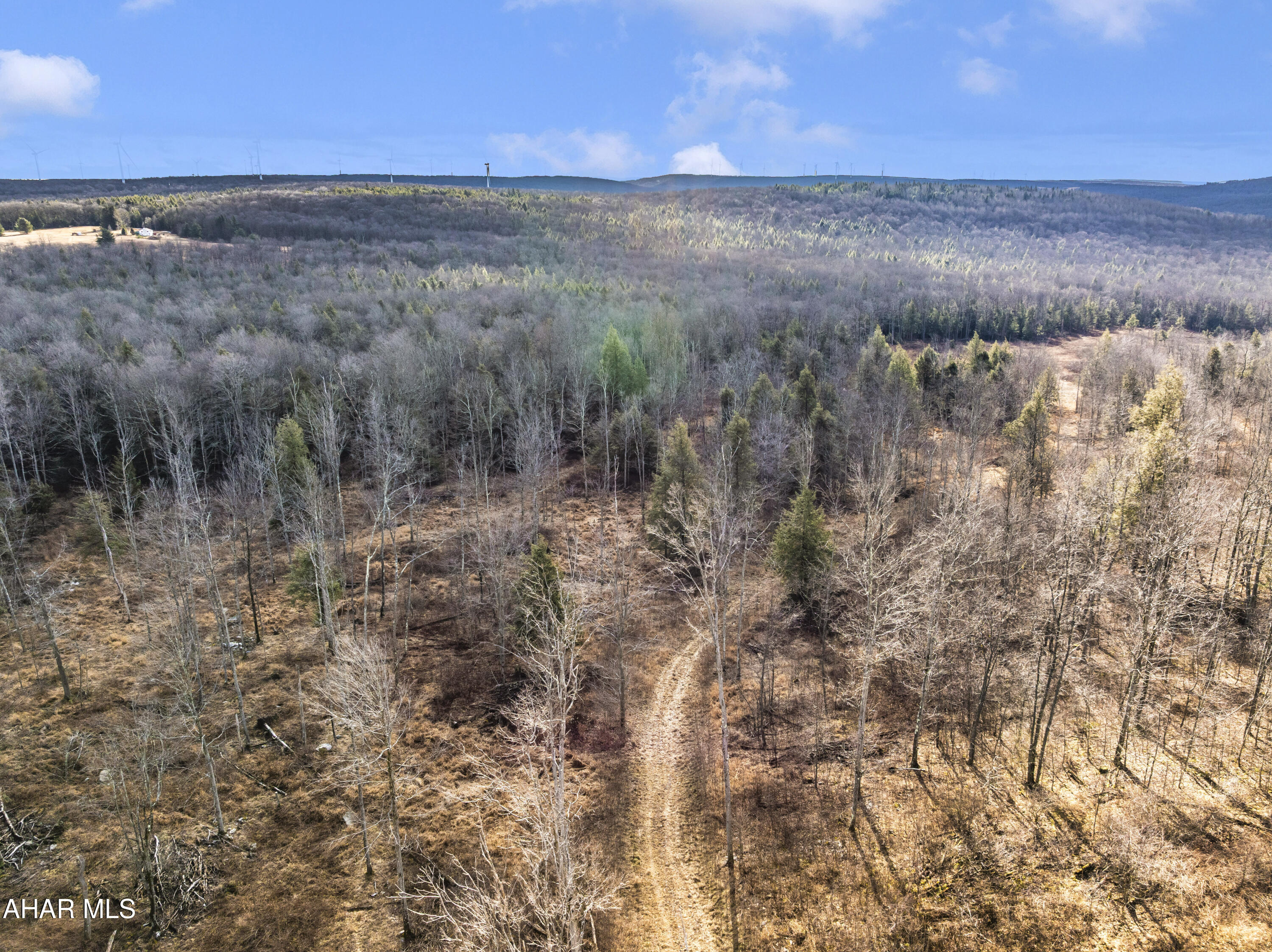 Private land opportunity for YOU!!  This 13.772-acre parcel is ideal for constructing your dream home, establishing a weekend getaway, or utilizing as a versatile recreational property. The potential is limitless—truly a must-see!!