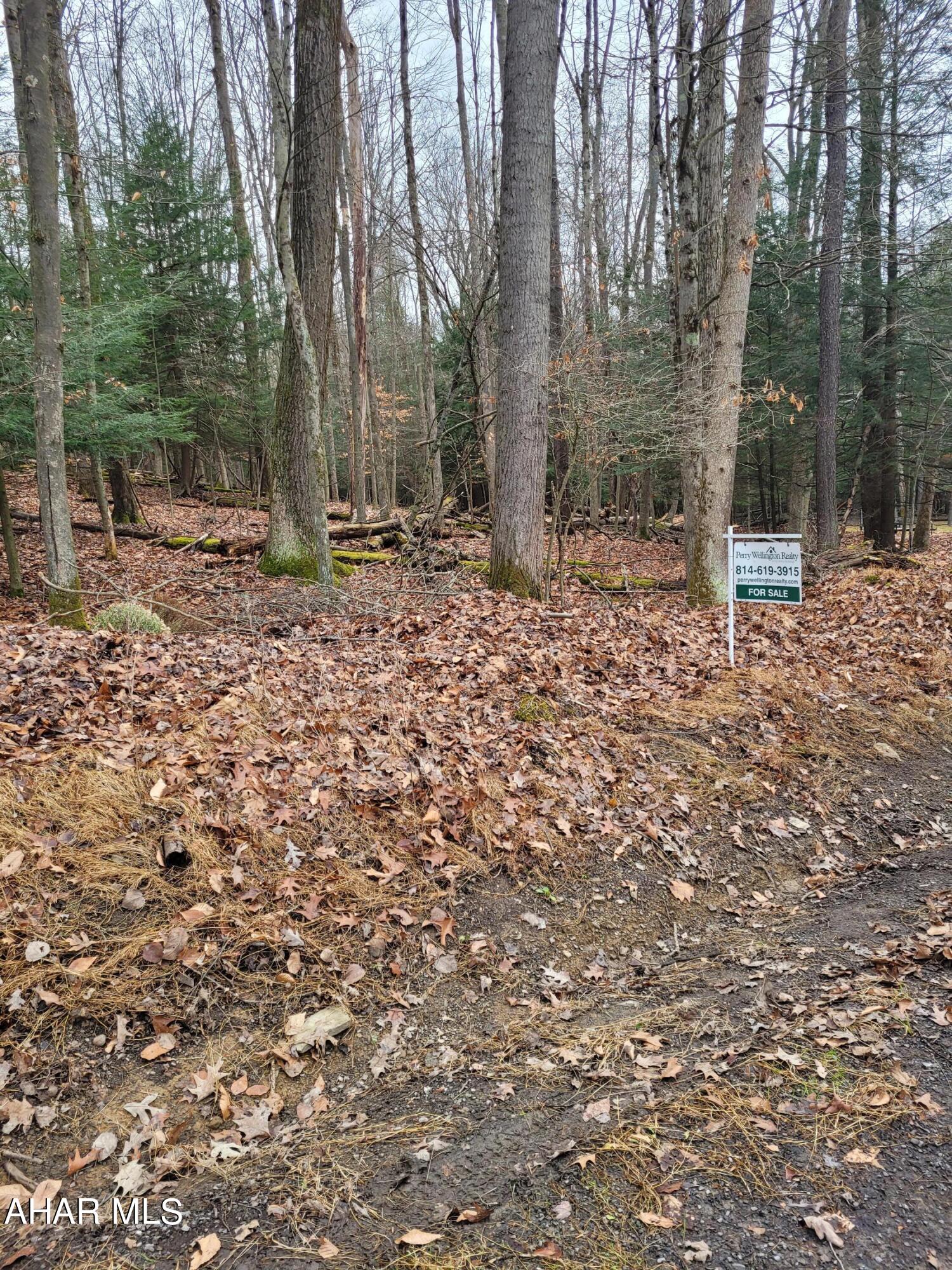 Private wooded home site perfect for building your getaway cabin or full time home in the woods.  Public water and sewer and electricity are available.  Located in Glendale Yearound, a gated community adjacent to Prince Gallitzin State Park / Glendale Lake.