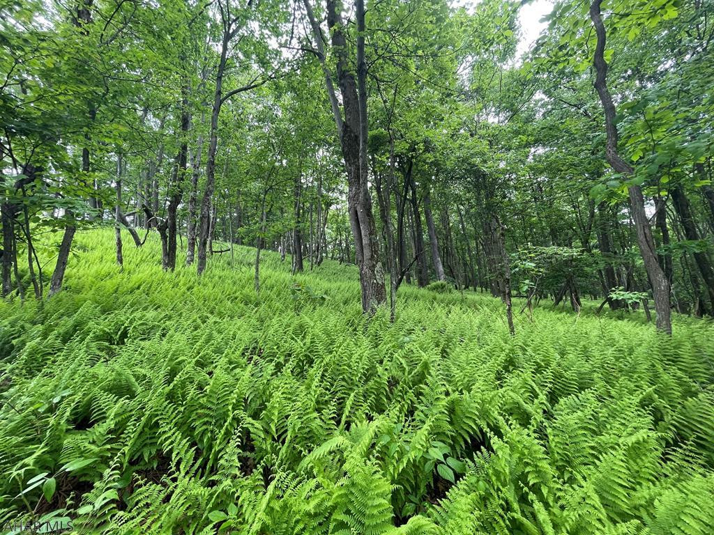 Nice wooded 5.5+/- acre lot to build your dream home or weekend getaway on. Located not far from Pa State Game lands, Shawnee State Park, Indian Lake, and much more!