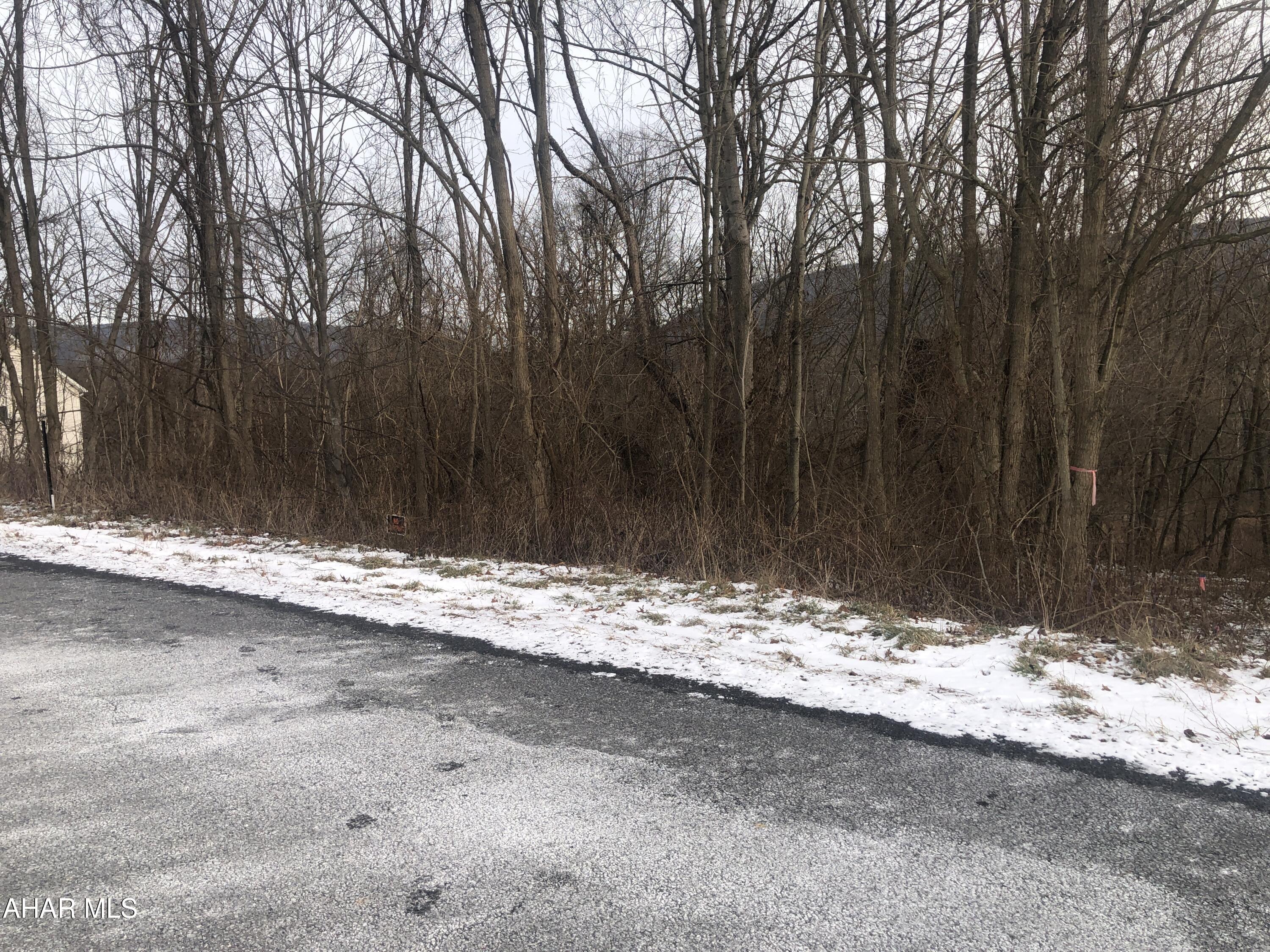 Nice lot located in the beautiful Juniata Mills Development. Sewage and Electric access. No restrictions listed for this lot.
