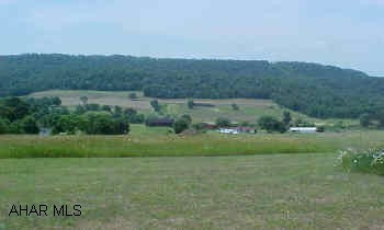 8.35 acres of mostly open meadow. Beautiful building site for your dream home. Exceptional views of the countryside. Watch the sunsets from your front porch. Land is perk approved and a new slate road has been put in.