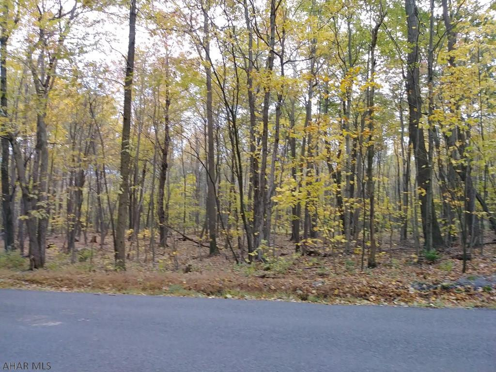 Blue Knob - Land