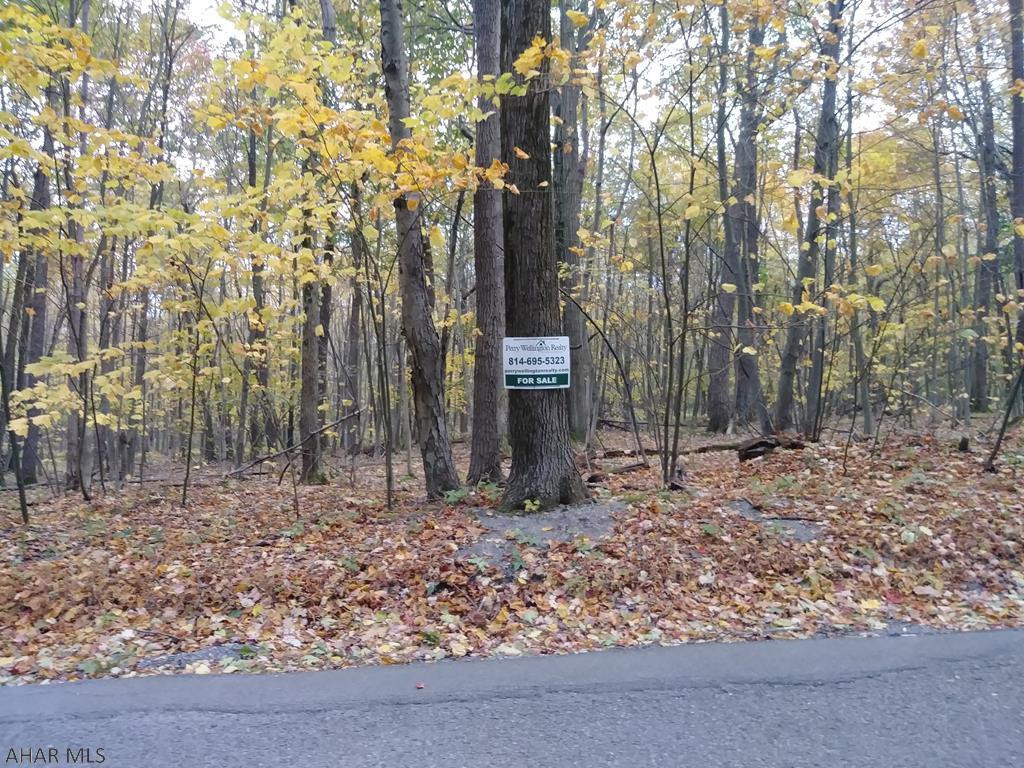 Blue Knob - Land
