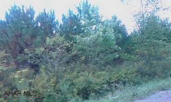 Pasture / Evergreen Cash