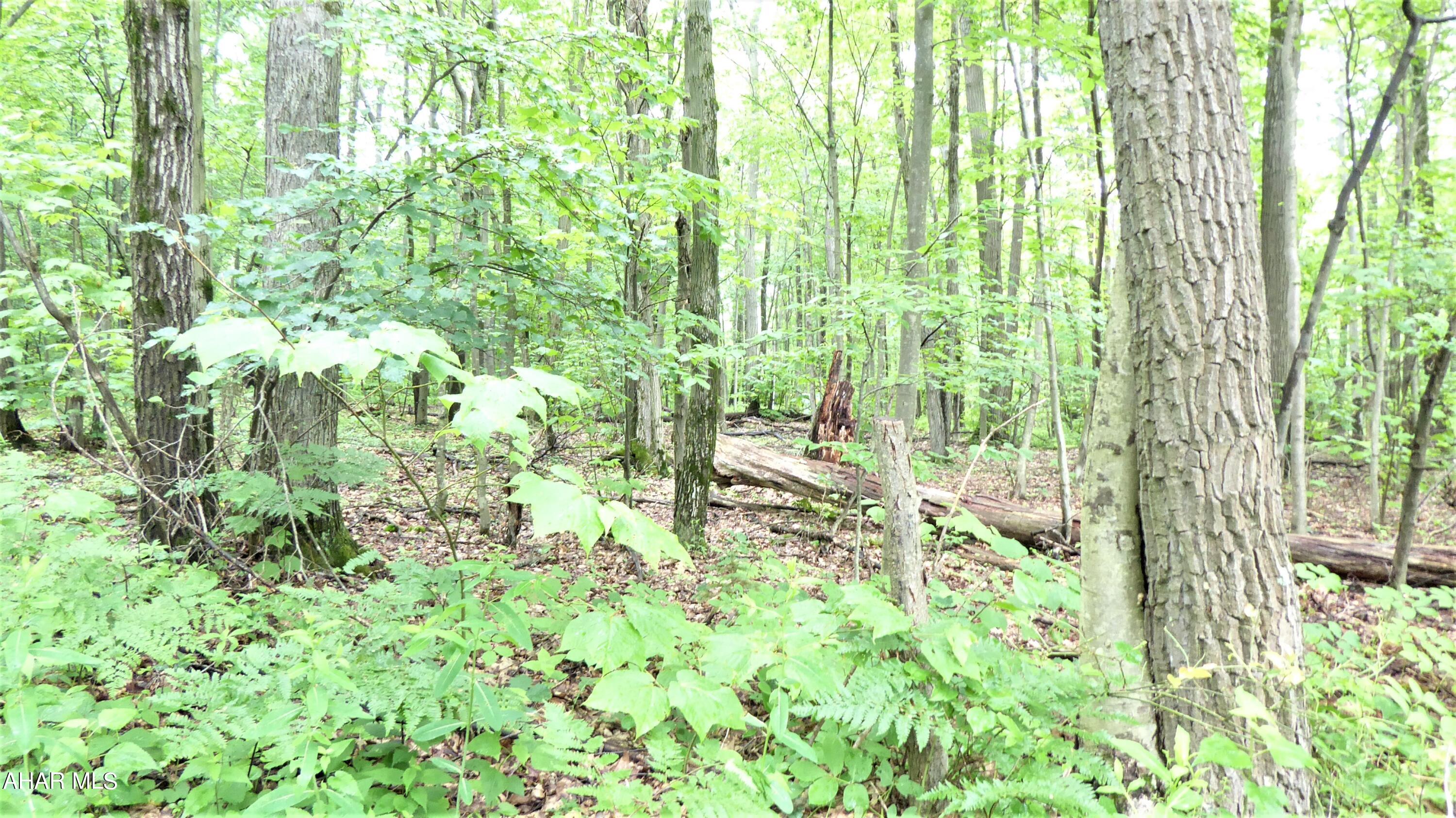 Blue Knob - Commercial Sale