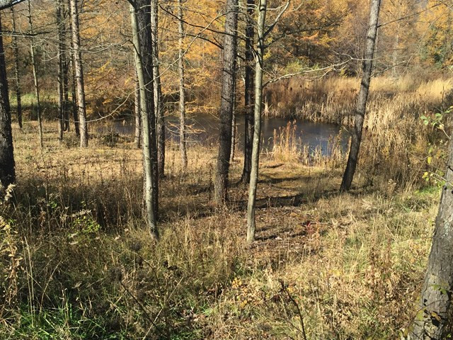 Other - Land