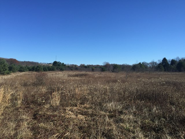 Other - Land