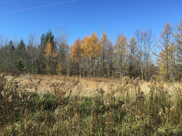 Other - Land