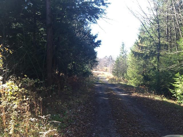 Other - Land