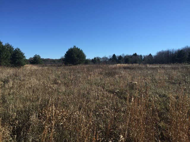 Other - Land