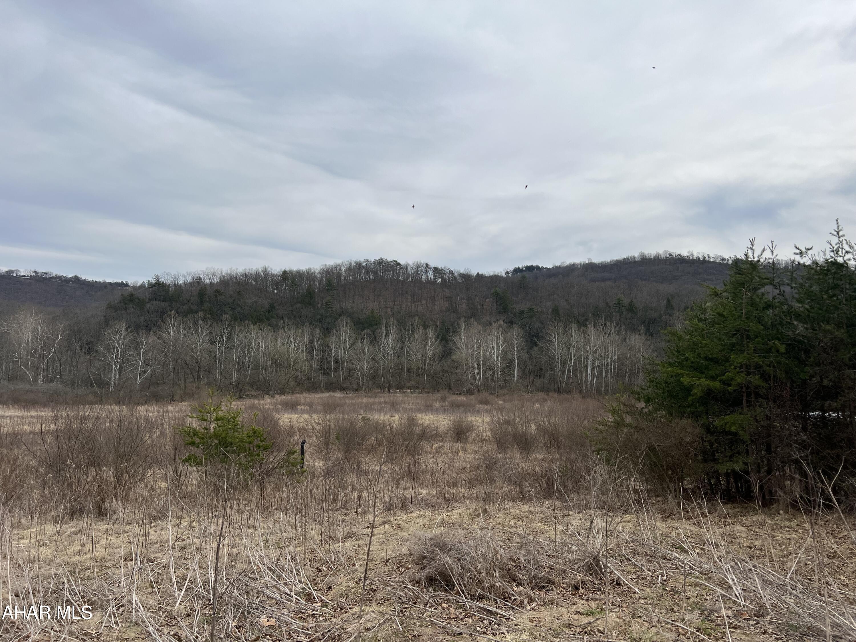 11.77 +/- acre lot located in Walker Township, Huntingdon County. Close proximity to Huntingdon and Lake Raystown. Public water and sewer at street.