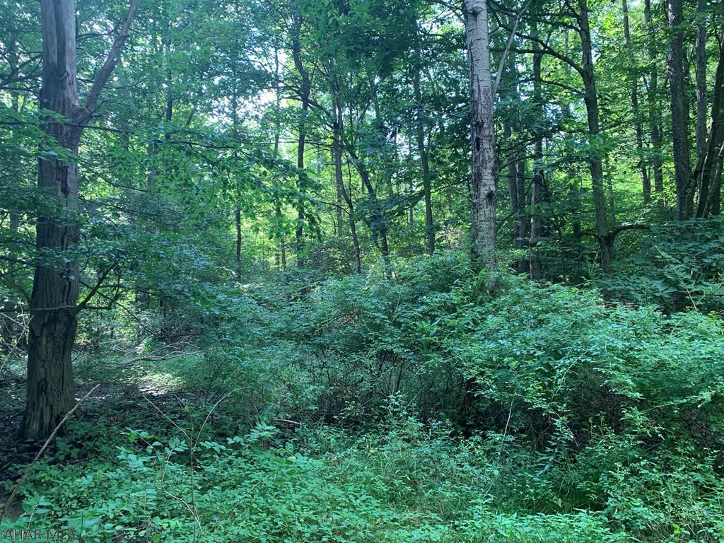 Other - Land