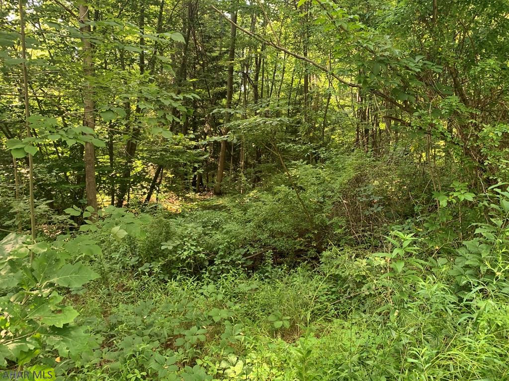 Other - Land
