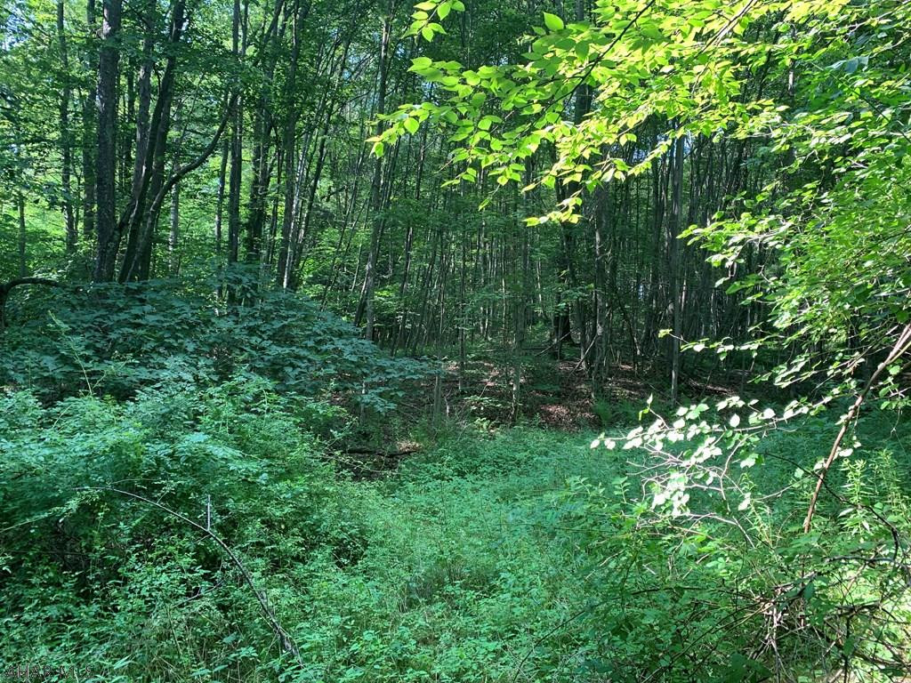 Other - Land