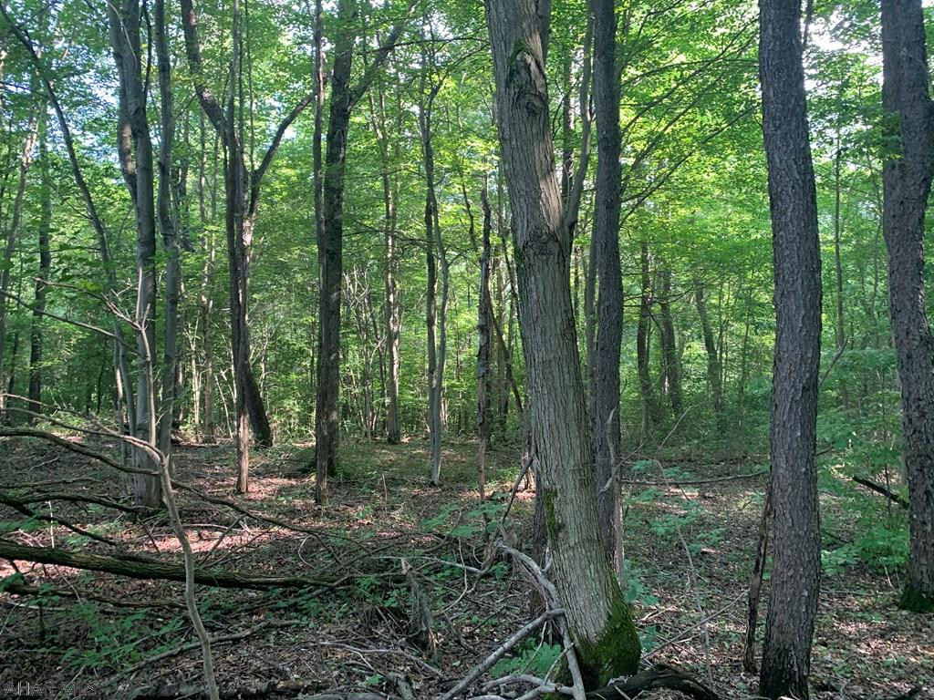 Other - Land