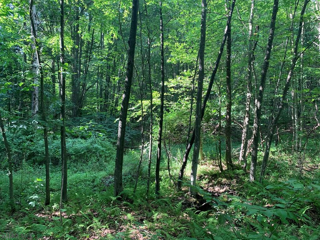 Other - Land